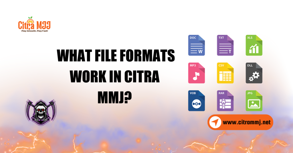 What File Formats Work in Citra MMJ